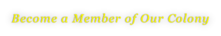 Become a Member of Our Colony