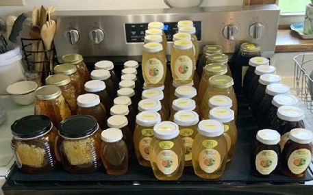 ZBees Apiary honey harvest
