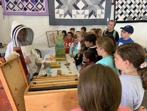 Teaching 4t graders about honeybees
