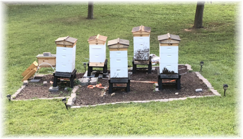 Stiles Apiary