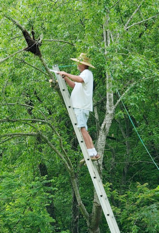 Paul catching a swarm of honeybee