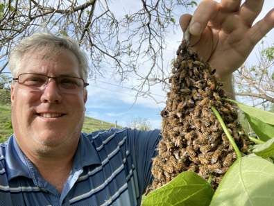 NC Master Bekeeper - Rev. Allen Blanton holding a swarm on a branch.