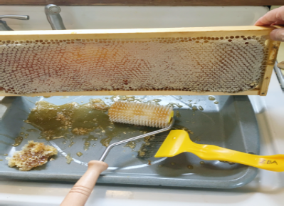 ZBees Apiary Honey Harvet ZBees Apiary Honey Harvet