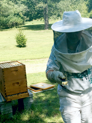 Mike checking out his hive.