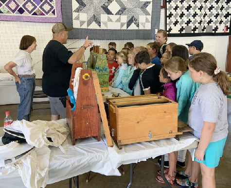 Quizzing 4th graders about honeybees