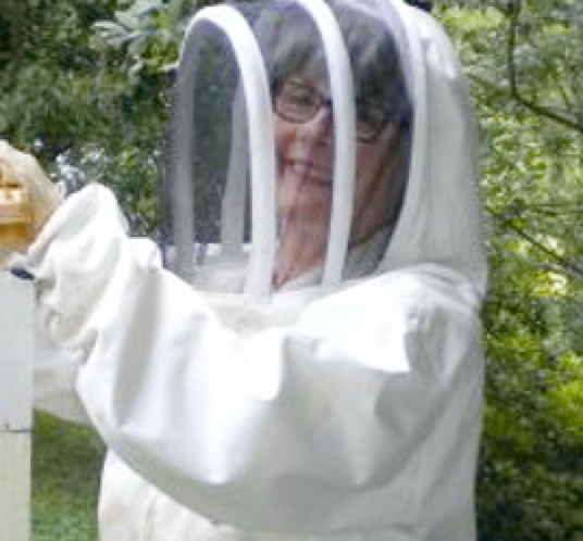 Kathleen iworking her honey bee colonies.