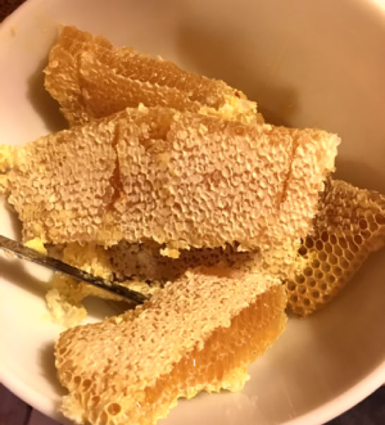 Close-up of a golden honeycomb dripping fresh honey outdoors, showcasing natural hexagon patterns.
