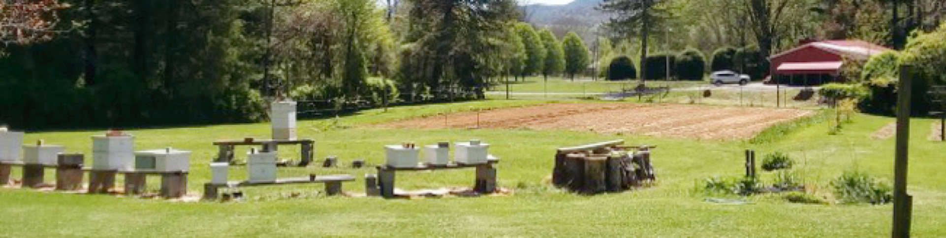 Lott Farm Apiary
