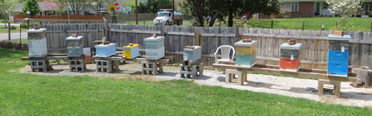 Byers Apiary - summerview.
