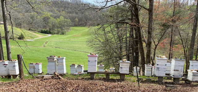 Kiser Apiary Banner